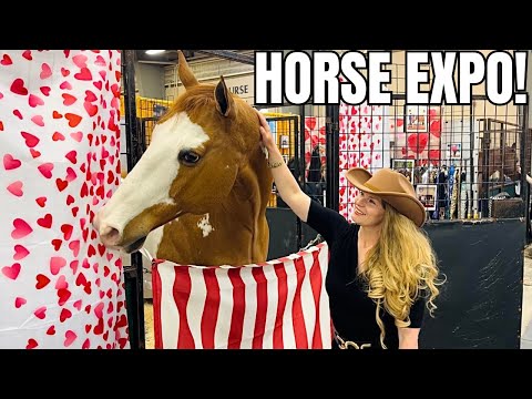 Equine Affaire 2024 in Ohio! Shopping, Demos, Horses & More