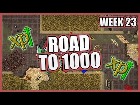 Road to 1000 - Week 23