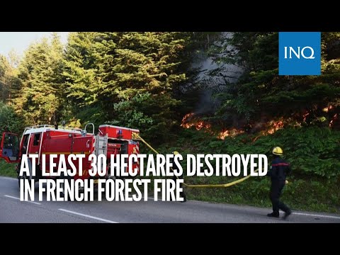 At least 30 hectares destroyed in French forest fire