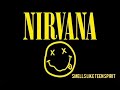 Nirvana Smells Like Teen Spirit