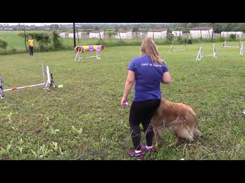 Retro Agility Party 2019, Daeron