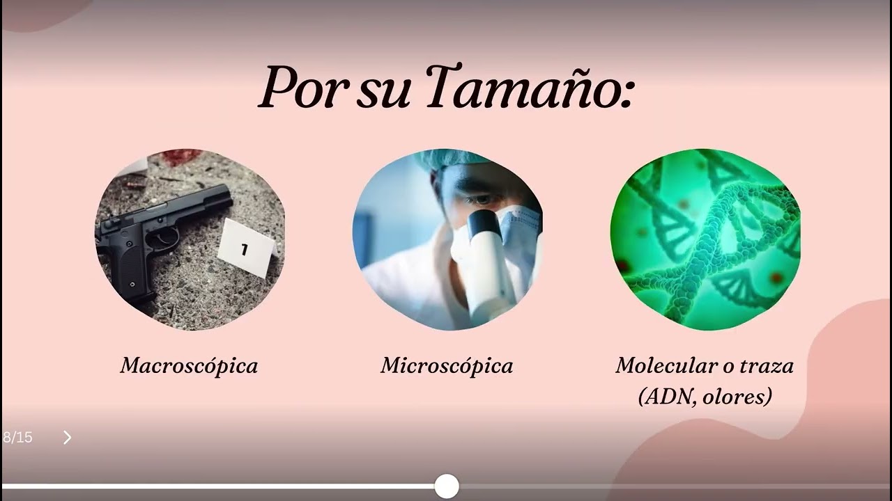 Guía para pasar tu segundo parcial de ciencias forenses🫰🏻