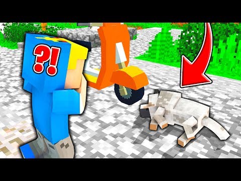Il MIO CAGNOLINO viene INVESTITO! - Famiglia di Minecraft #4