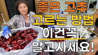 최상품 고추 고르는법, 건고추 고춧가루 가격 - How to choose a good pepper