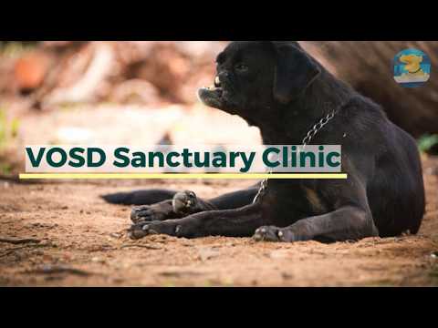 Sudeshna Bose wants you to help VOSD Sanctuary Clinic revamp