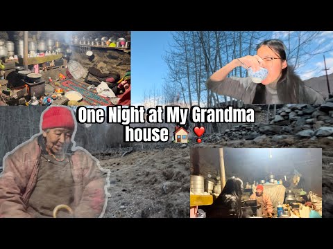 Night Stay at My Grandma House 🏠❣️#vlog #villagelife #grandma 