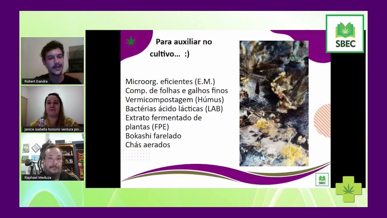 6º Aula - Cultivo doméstico agroecológico e cultivo associativo de Cannabis Medicinal
