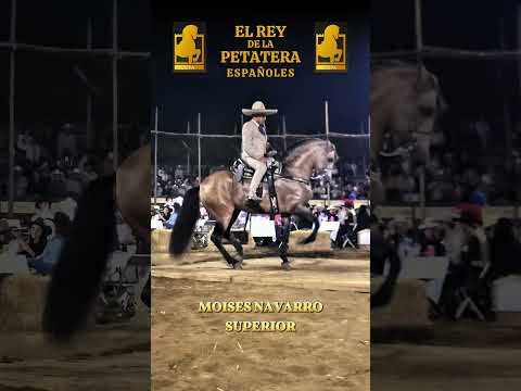 moises navarro y superior  #amigosdeacaballovip