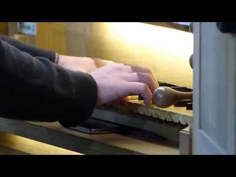 Saint-Amant de Boixe (Charente) - Orgue Renaissance Quentin Blumenroeder - bourdon