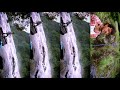 Megangal Ennai Thottu Amarkalam Tamil FullScreen WhatsApp Status TN 75 EDITZ