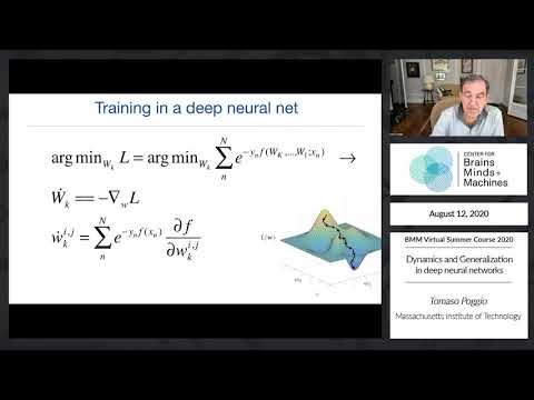 Dynamics and Generalization in deep neural networks