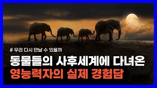 유튜브 썸네일