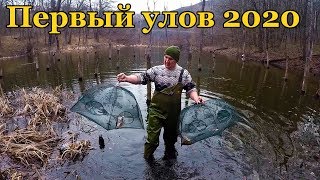 На что ловить рака в апреле 2020