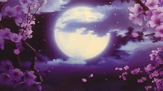 Caesars Palace - Jerk it out (slowed + reverb)