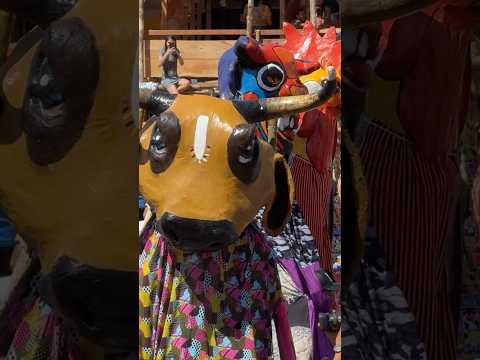 Mascaradas Costarricenses | Santa Cruz, Guanacaste