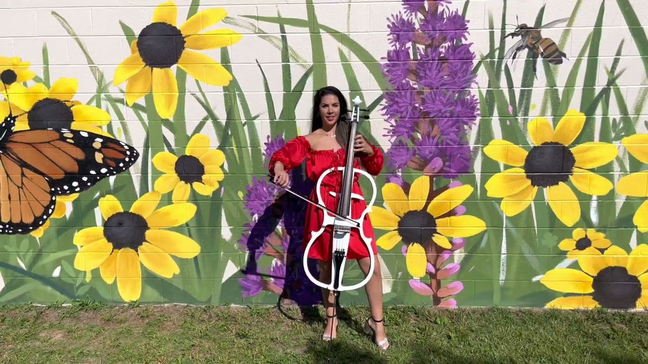Promotional video thumbnail 2 for Wedding & Events