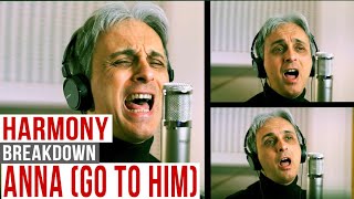 How to Sing Anna (Go to him) Beatles Vocal Harmony Cover - Galeazzo Frudua