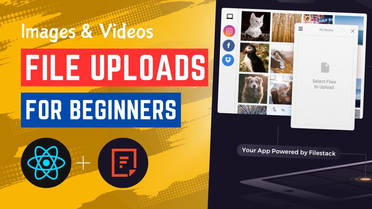 How to Upload Files and Images in React using Filestack API!