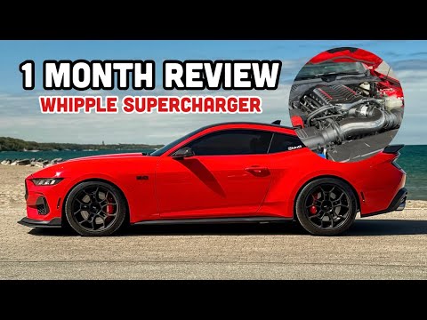 Daily Driving a Whipple 2024 Mustang GT One Month Later