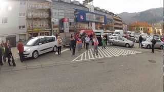 preview picture of video 'Gangnam Style Flashmob Muerzzuschlag 10112012'