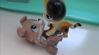 Lps My Strange Addiction - Addicted To Boys (GONE WRONG!!)