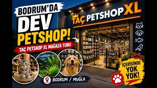 Bodrum’un En Büyük Pet Shop’u ! | Taç Petshop XL’ı Geziyoruz