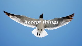 Dolores O&#39;Riordan - Accept Things (with Lyrics)