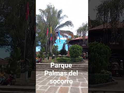 Parque Palmas del socorro
