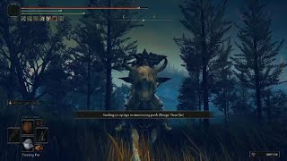 ELDEN RING White Light Nite