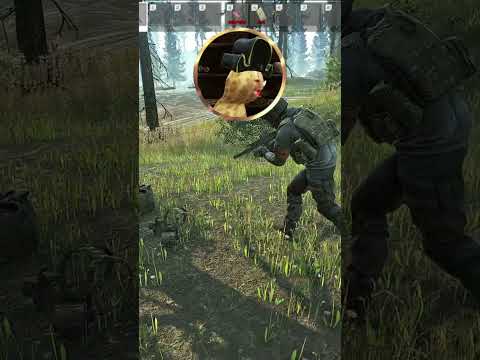 Nikita Let This One Keep His Hacks, He Needs Them #tarkov #tarkovclips #tarkovfunny #eft #shorts