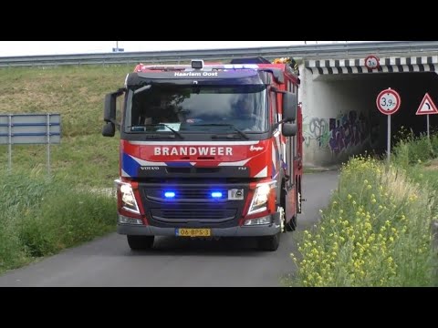 Verschillende brandweer Korpsen halen te water geraakt paard uit het water in Spaarndam
