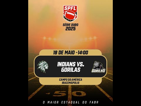 Série Ouro 2025 - Guarani Indians x Ponte Preta Gorilas