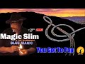 Magic Slim & The Teardrops - You Got To Pay (Kostas A~171)