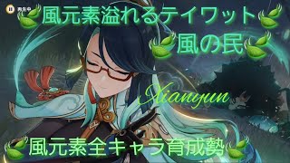 【原神】とある風使いの原神風神録(ver6.5 LunaⅤ)キャラ鑑賞○、お手伝い○(討伐系のみ)、螺旋攻略相談○ #閑雲 #留雲借風真君 #原神 #風元素キャラ