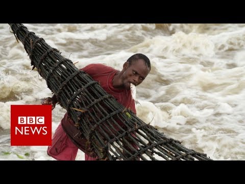 Congo: the River  - BBC News