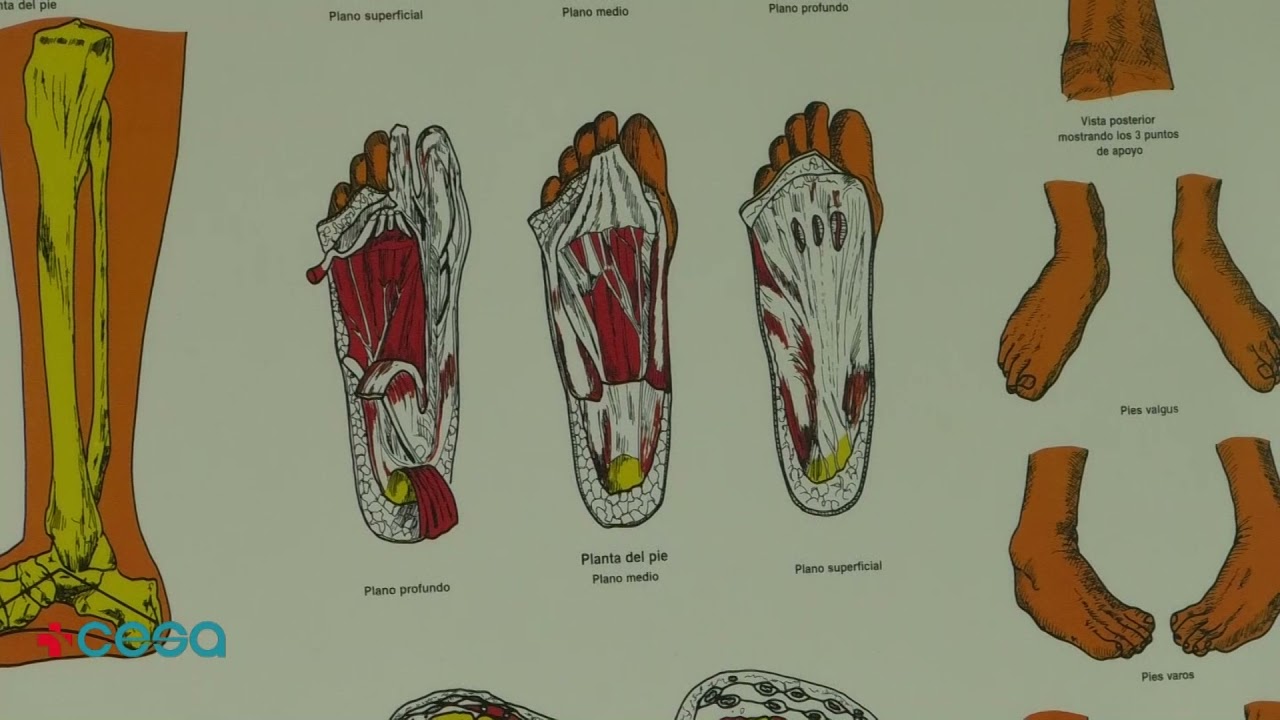 Salvatore Militano-4