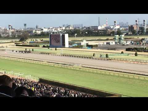 2020年ヒヤシンスS（カフェファラオ 2020.02.23）