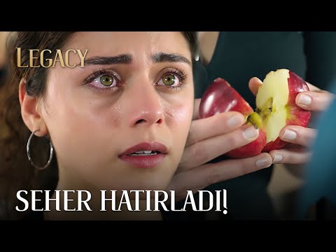 Seher hatırladı! | Emanet 350. Bölüm