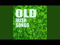 A Little Bit of Irish