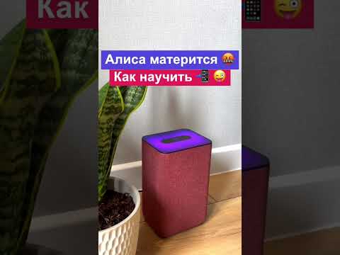 Как научить алису материться. Яндекс алиса матерится. Навыки алиса голосовой помощник. Алиса недетские разговоры. Как научить колонку ругаться матом.