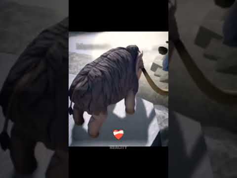 Mammoth in Bloxfruits vs kingLegacy #bloxfruits #trending #memes #roblox