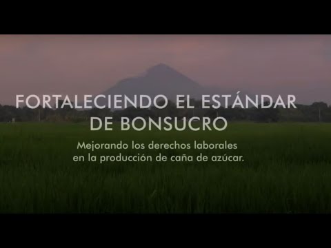 Fortaleciendo el estándar de Bonsucro - Los derechos laborales en la producción de caña de azúcar.