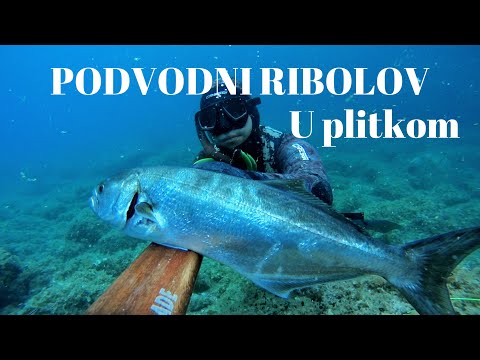 Podvodni ribolov u plitkom