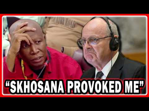Julius Malema Grilling Paul O’Sullivan “You Thought You Were Going To Silence Hon Skhosana”