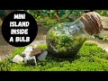 Super Easy Terrarium ഫ്യൂസ് ആയ ബൾബ്കൊണ്ടൊരു Terrarium ഉണ