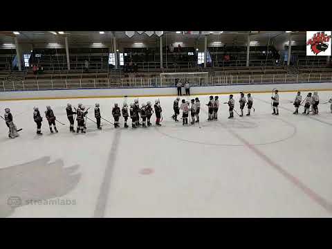 Jää-Ahmat/Red - KJT/Haukat White