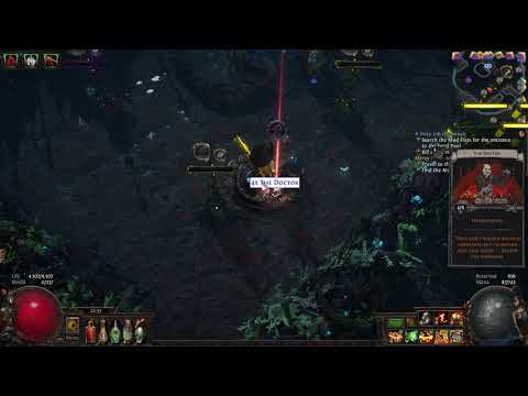 3.11 Path of Exile  - Harvest League End Gambling Headhunter The Doctor cards