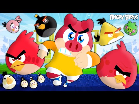 Flonk com Angry Birds - Turma Mirim