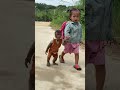 Cutis Yen Nhi Walk To Dad S House Cutis Babymonkeycutis Shortsvideo