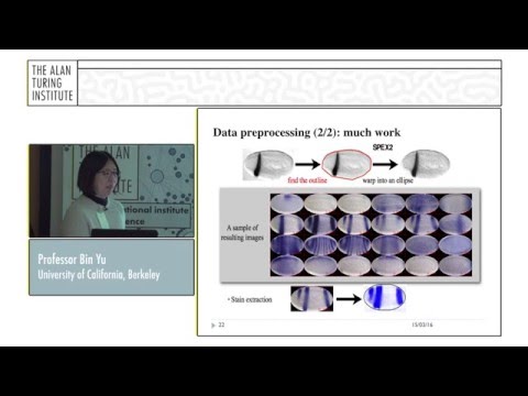 Professor Bin Yu: "Unveiling the Mysteries in Spatial Gene Expression"